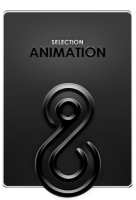SELECTION 8 LIGHTS