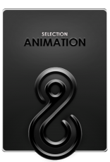 SELECTION 8 LIGHTS