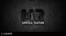 Mr Small Brain Logotype